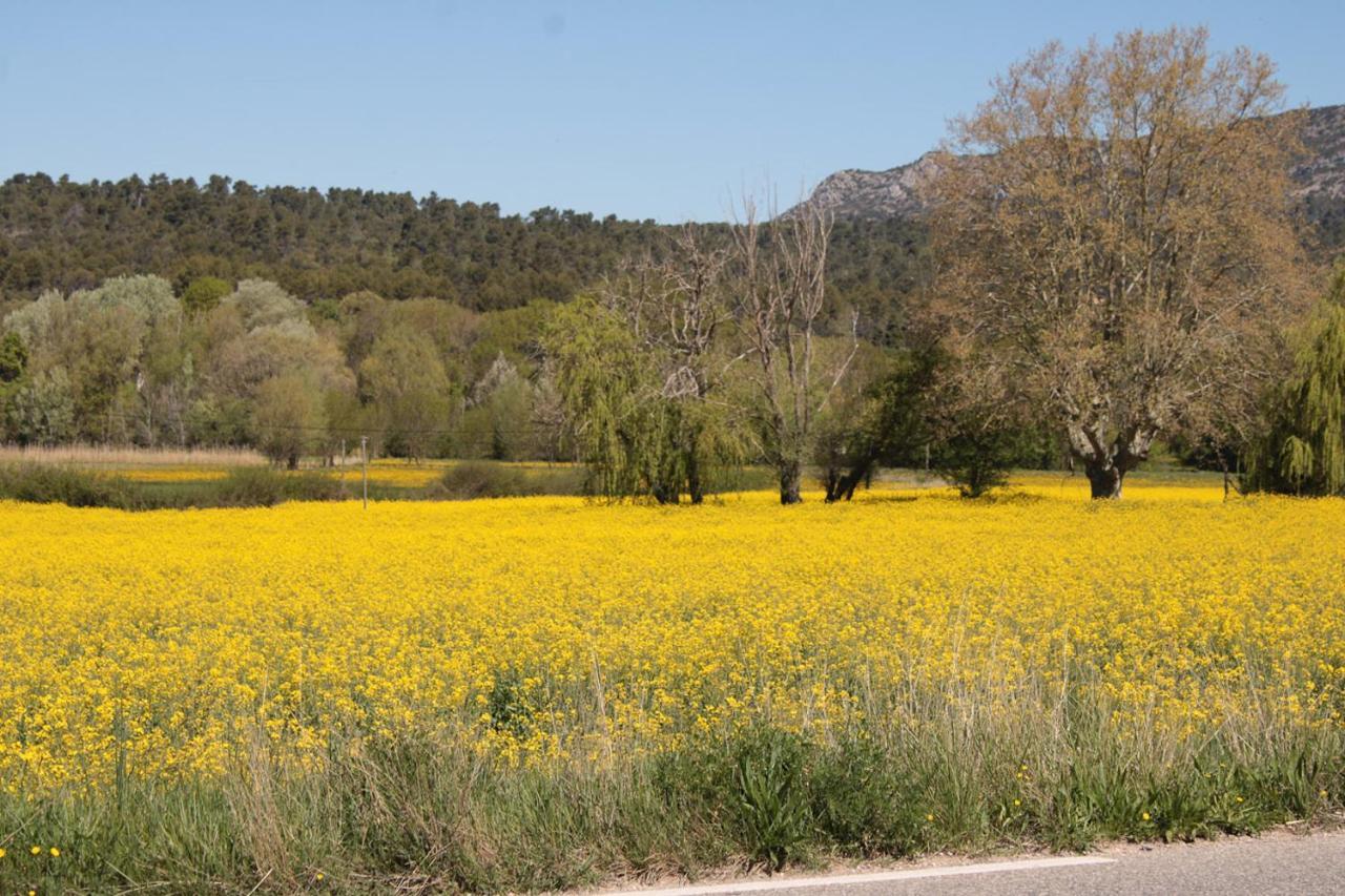 Gite Les 4 Chemins Rians  Exteriér fotografie